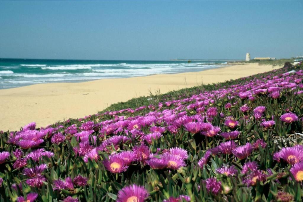 Albayalde Cielo Y Mar Apartment Vejer de la Frontera Ngoại thất bức ảnh